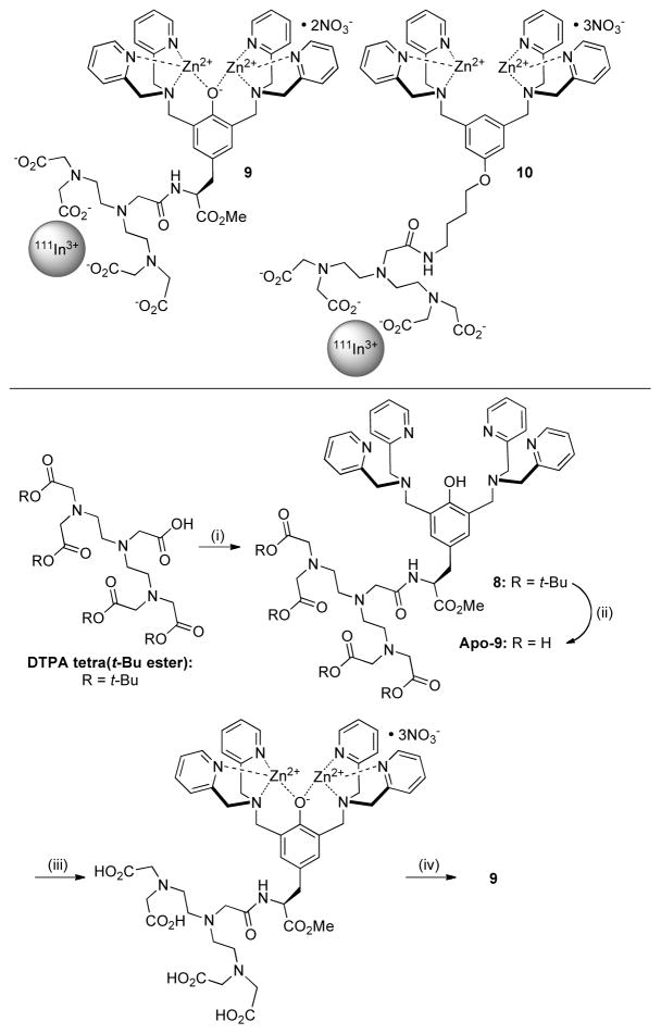 Scheme 4