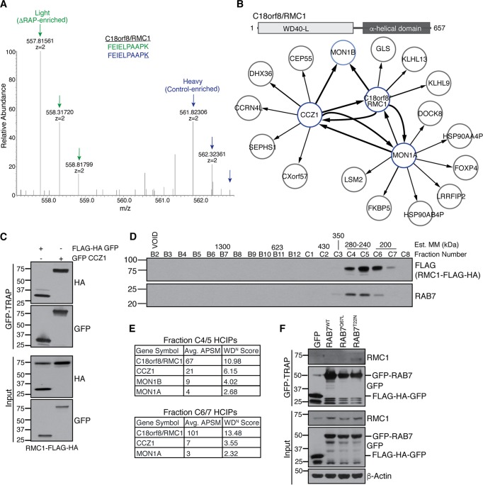 FIG 6