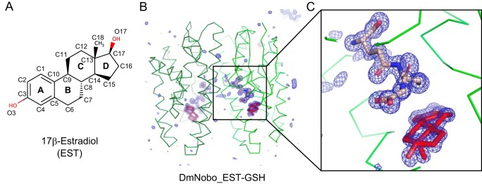 Figure 1.