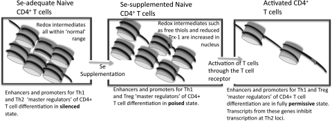 FIG. 12.