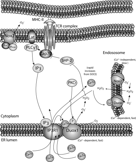 FIG. 7.