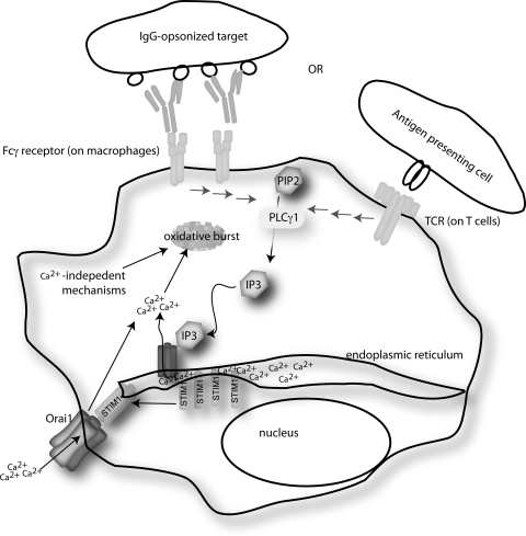 FIG. 6.