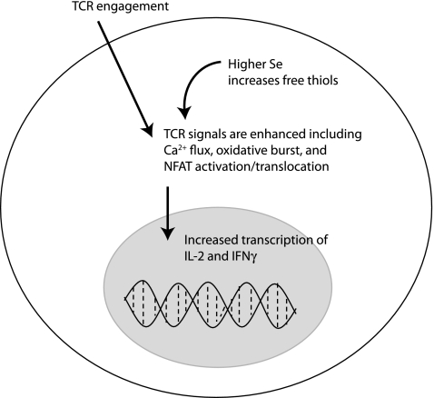 FIG. 8.