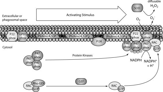 FIG. 4.