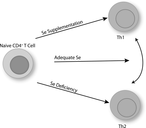 FIG. 10.