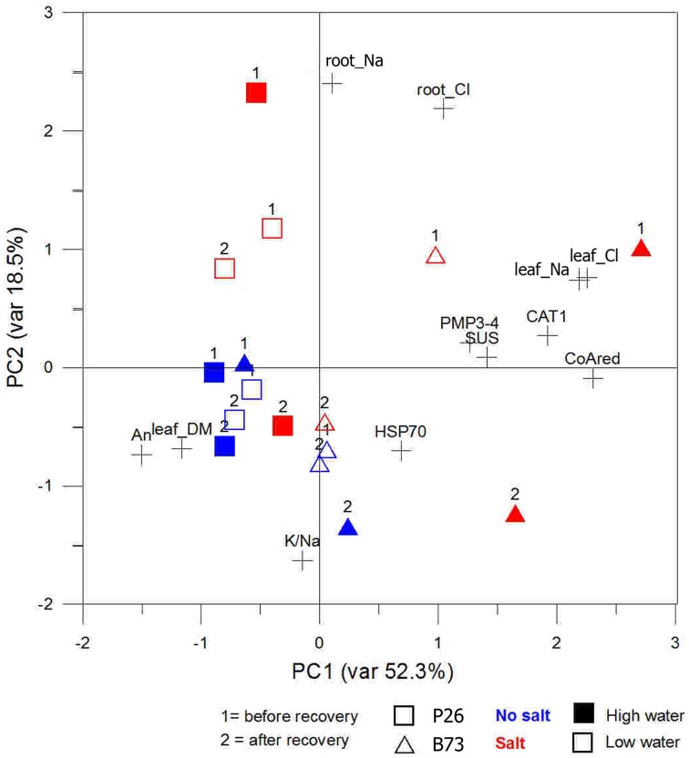 Figure 7