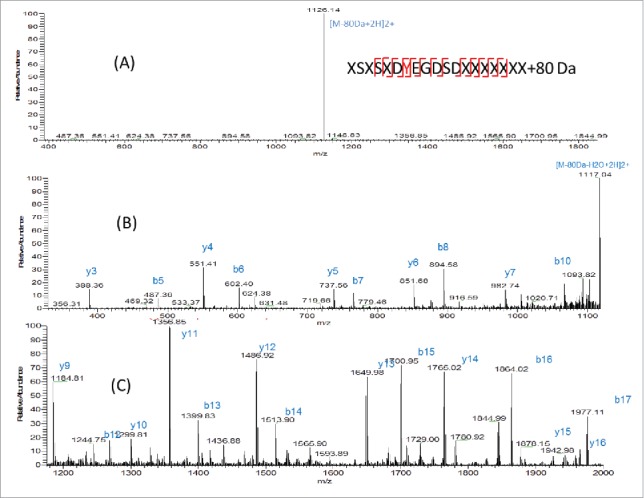 Figure 5.