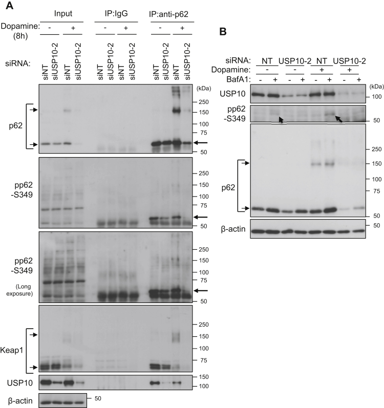 Figure 10