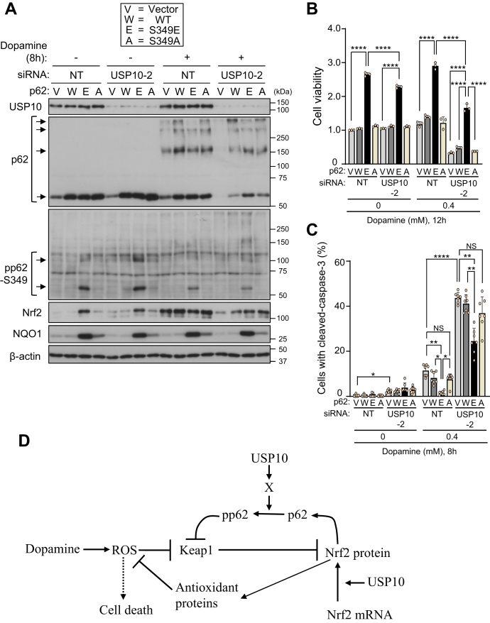 Figure 12