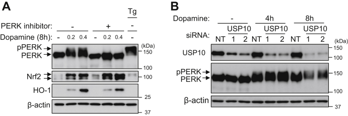 Figure 6