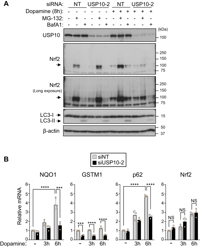 Figure 7