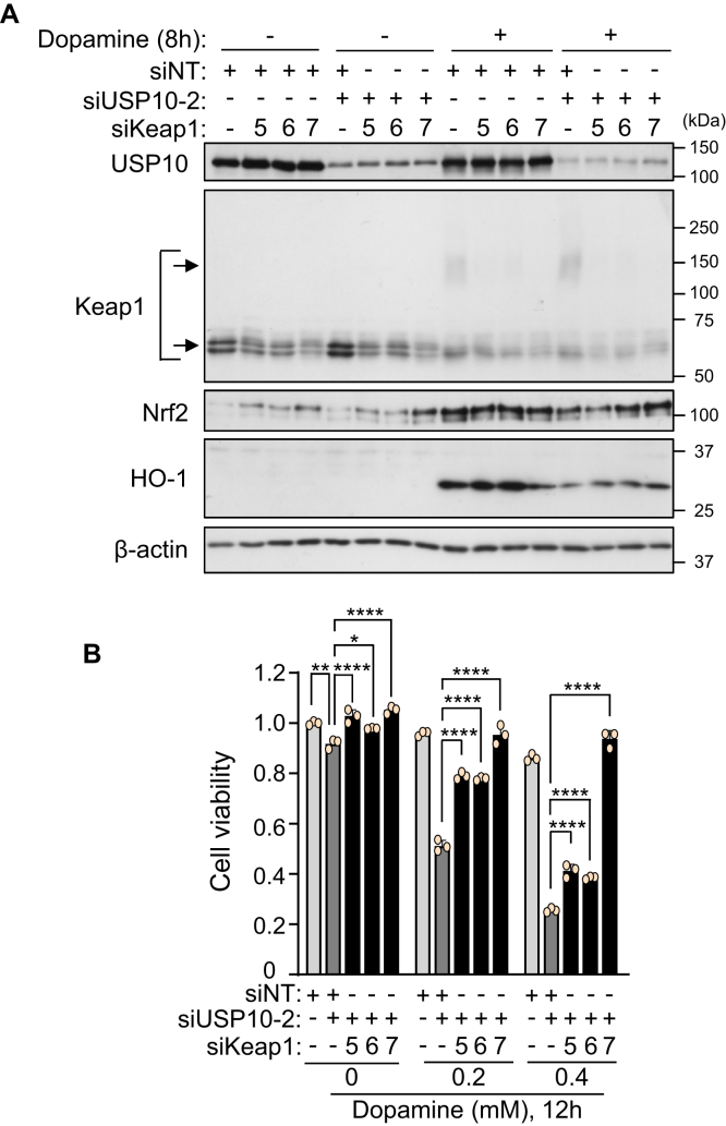 Figure 5