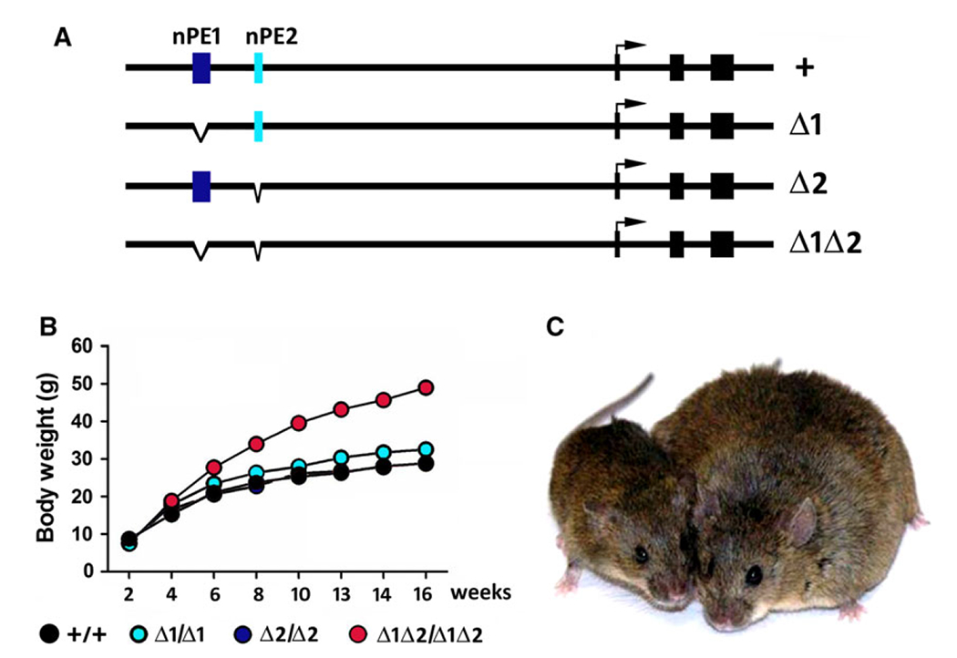 Fig. 2.