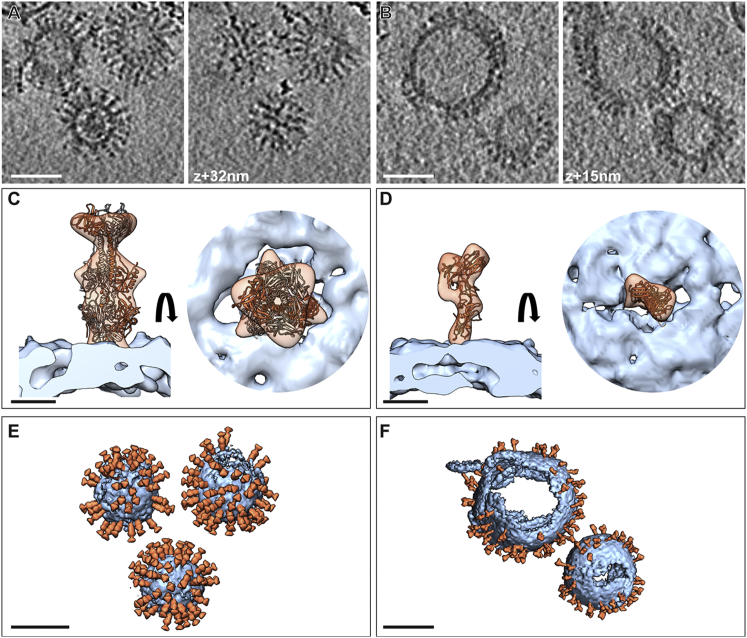 Figure 3