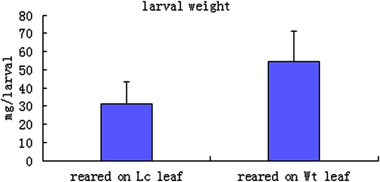 Fig. 6