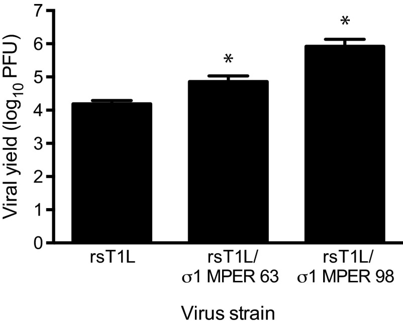 FIG 6 