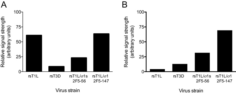 FIG 3 