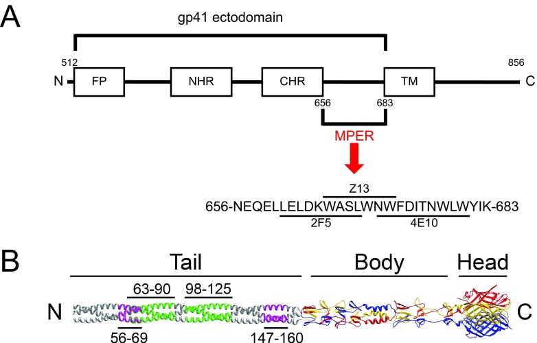 FIG 1 