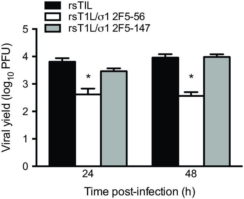 FIG 2 