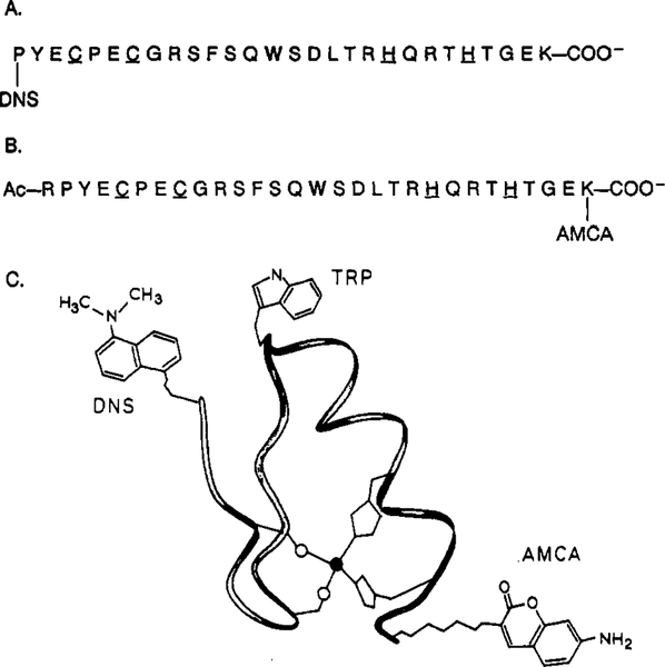 FIGURE 1: