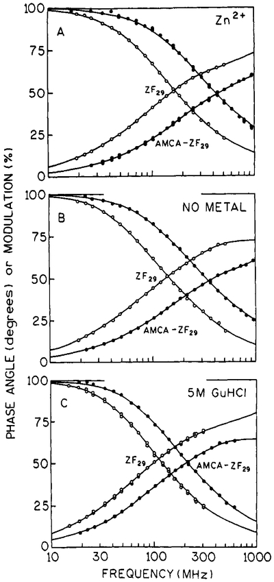 FIGURE 5: