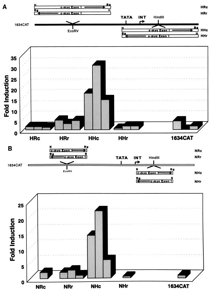 FIG. 6