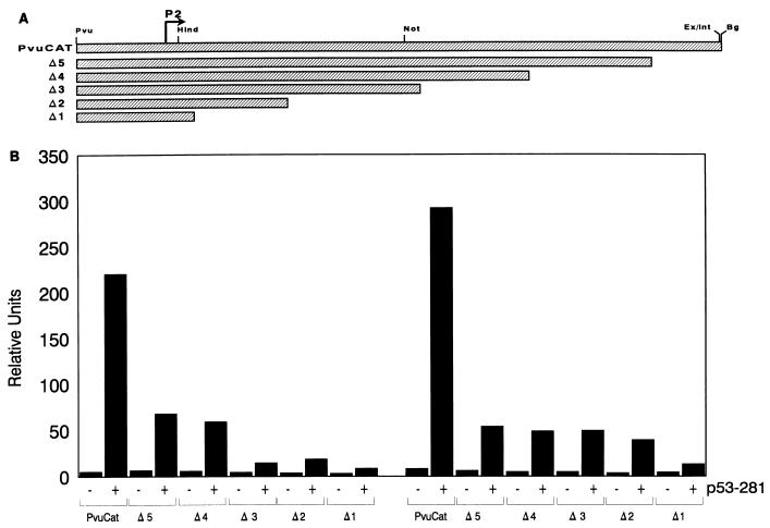 FIG. 5