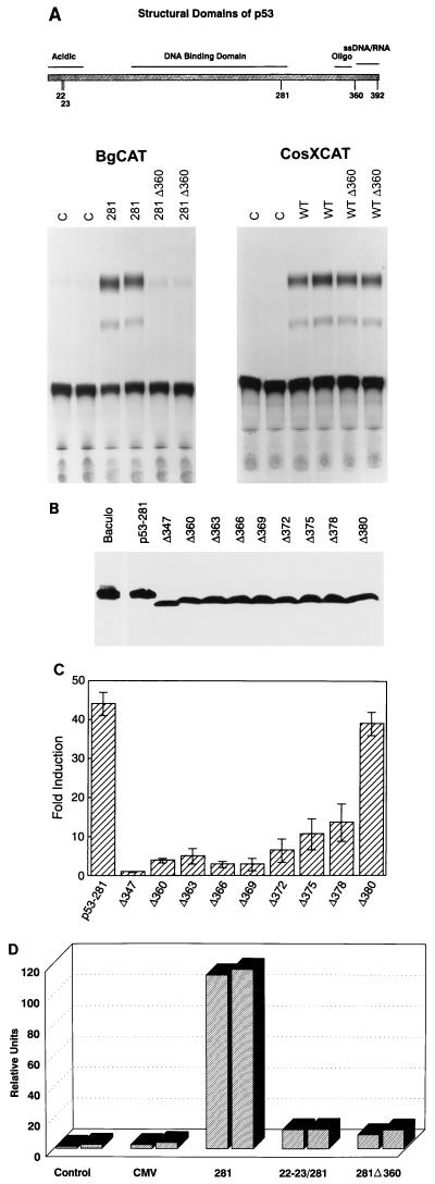 FIG. 7