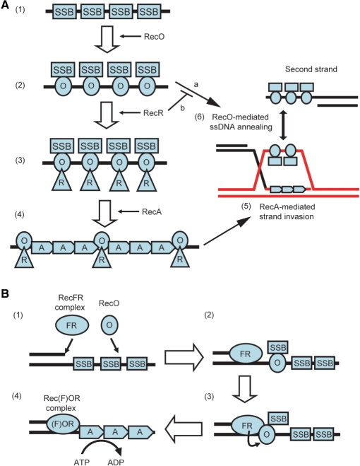 Figure 10.