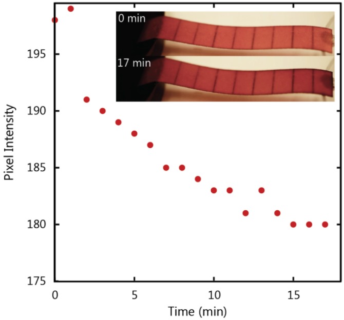 Figure 10