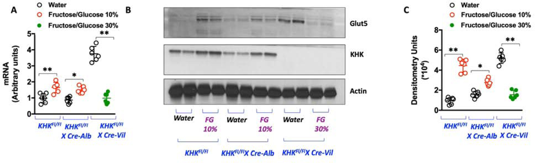 Figure 5: