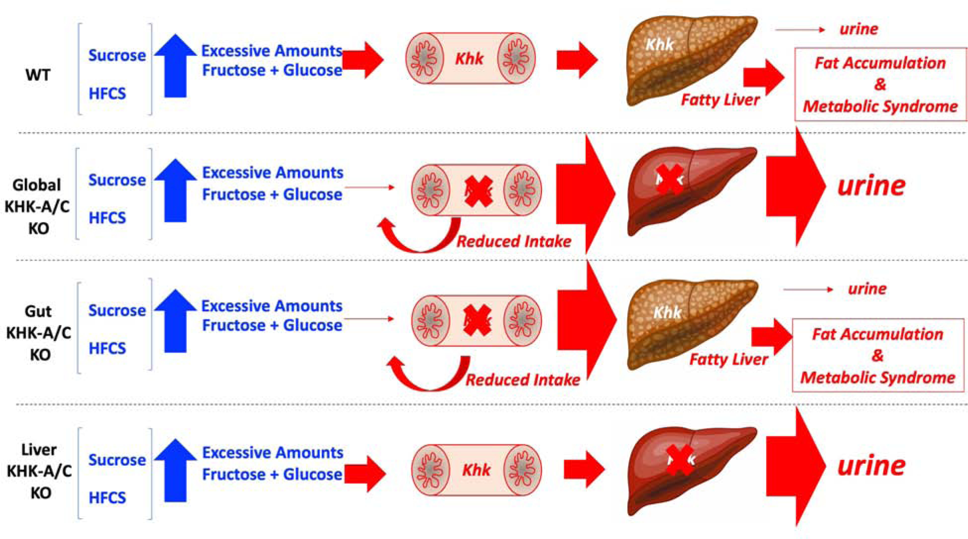 Figure 7: