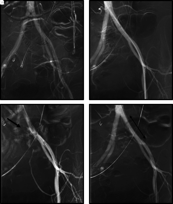 FIG. 3.