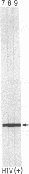 6970
