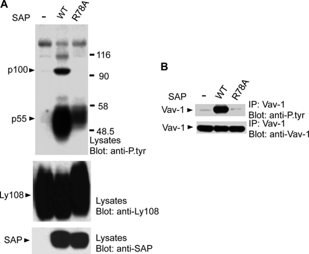 FIGURE 9.