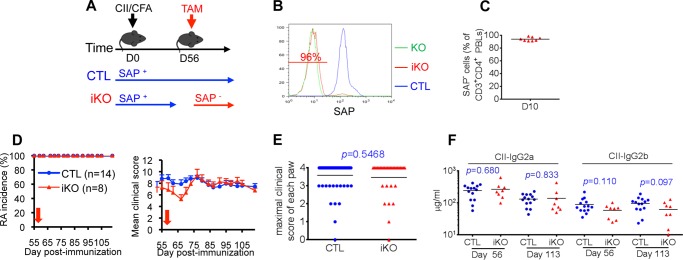 FIGURE 10.