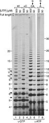 FIG 5