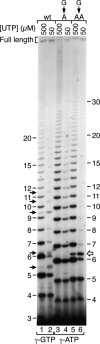 FIG 3