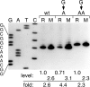 FIG 4