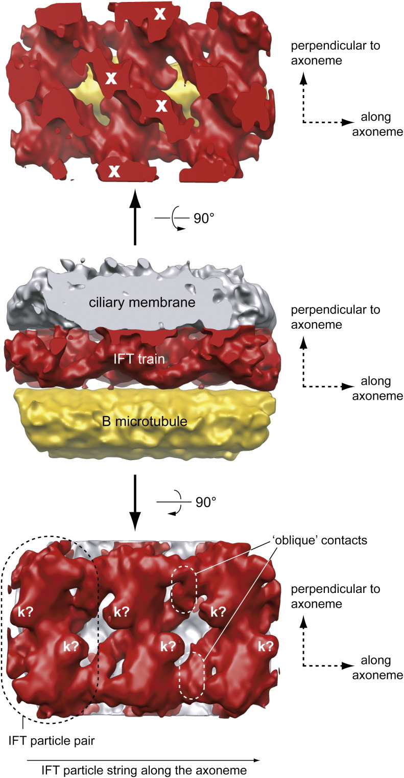 Fig. 4