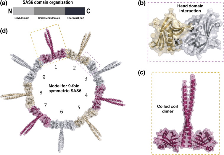 Fig. 2