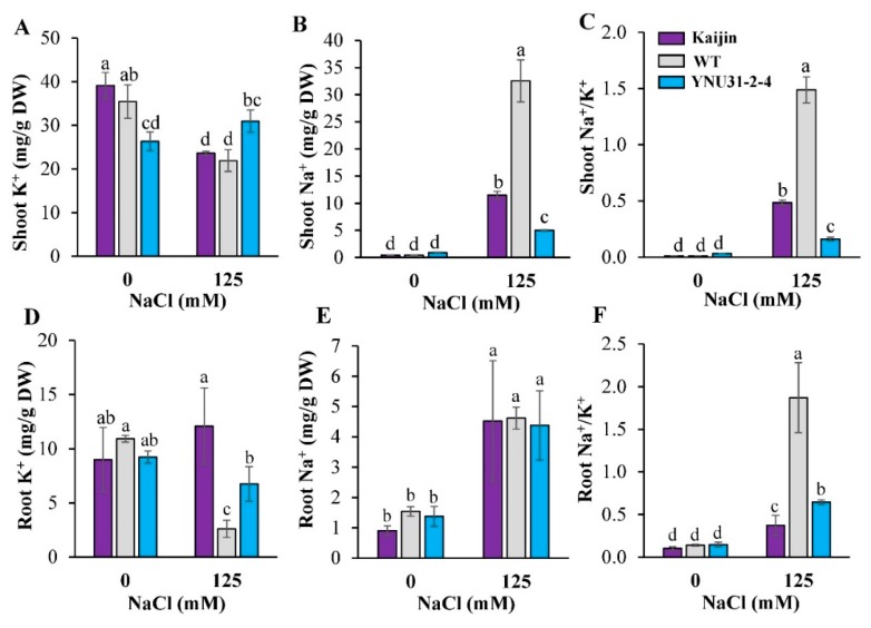 Figure 5