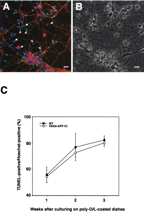 Figure 7.