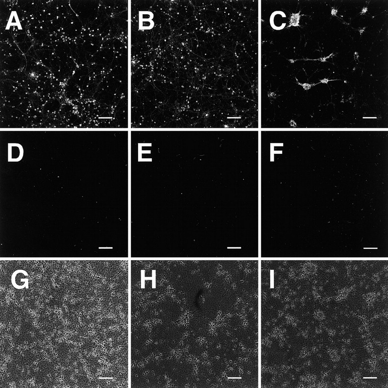 Figure 10.