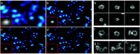 Fig. 12