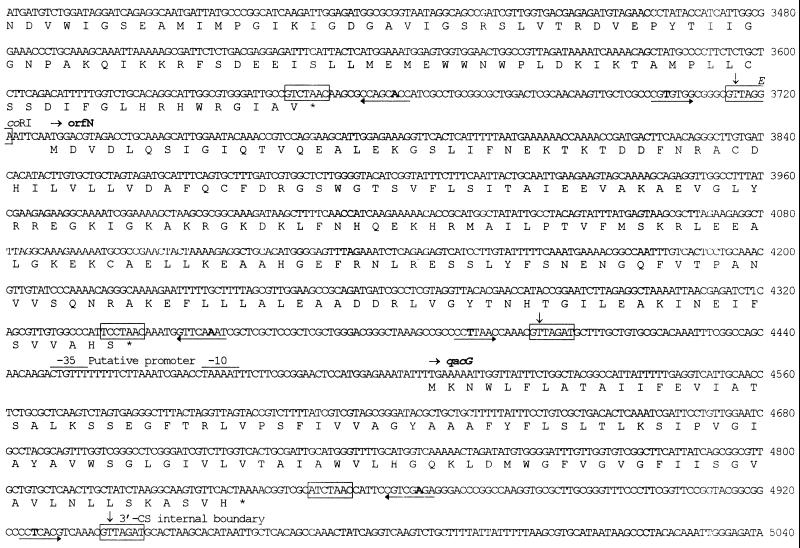 FIG. 3