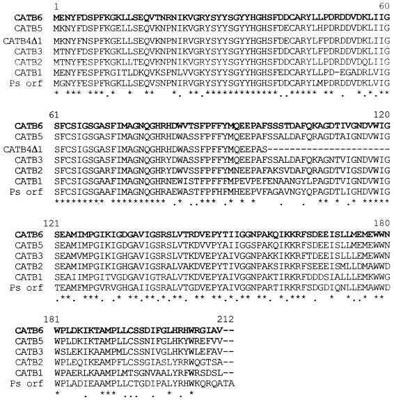 FIG. 6