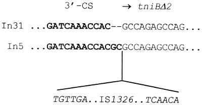 FIG. 5