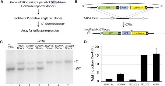 Figure 4.