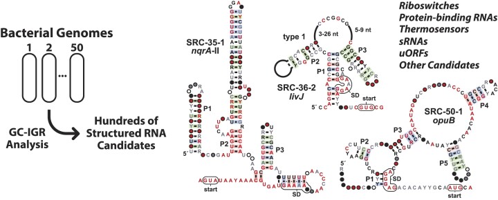 Graphical Abstract